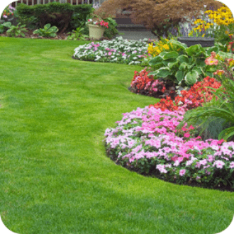 lawn-garden