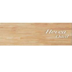 VT Industries HEVEA498